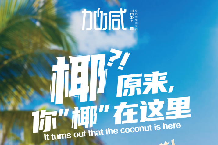 鼎点椰子系列新品火爆上市